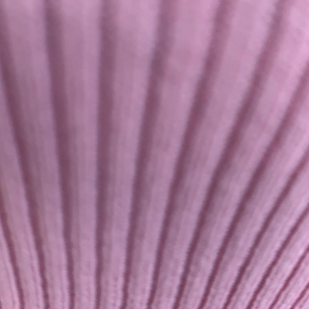 ❌DONATED❌Pink Ribbed Cami Stretchy Crop Top - Picture 9 of 14